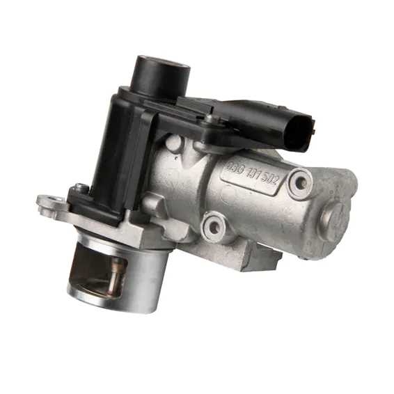 EGR Valves