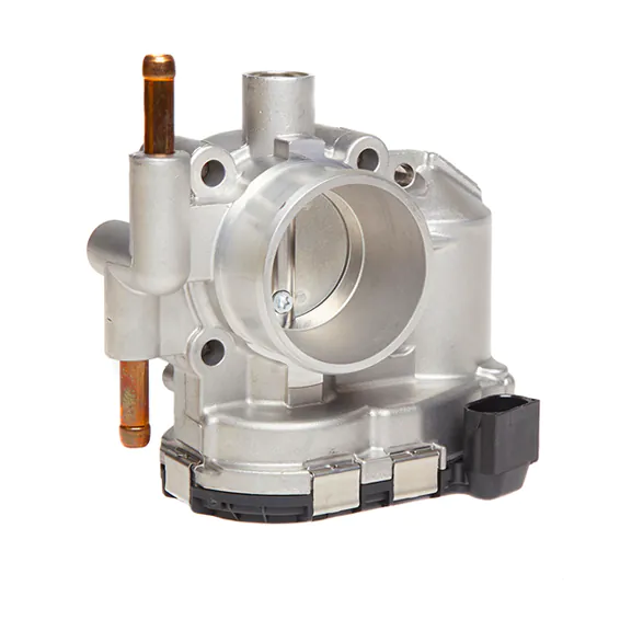 Throttle Bodies